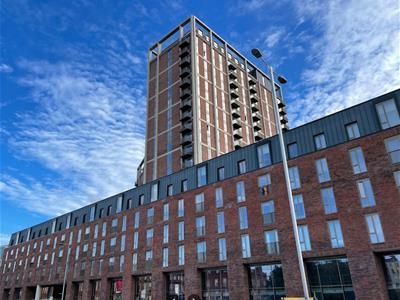 Picture 17